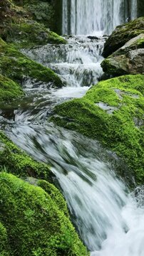 苔岩と流れ