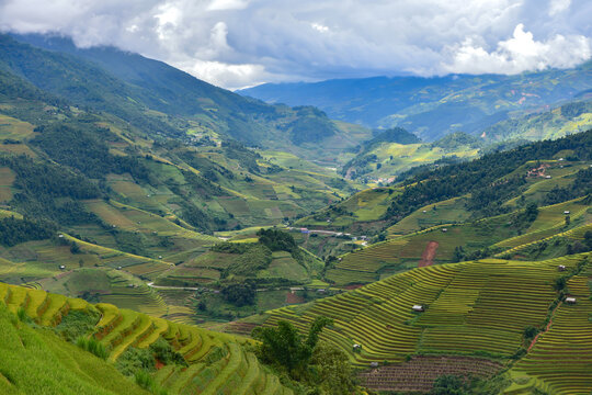 Stairway to Heaven: Majestic rice terraces cascade down lush green mountainsides, forming a breathtaking panorama under a dramatic sky.