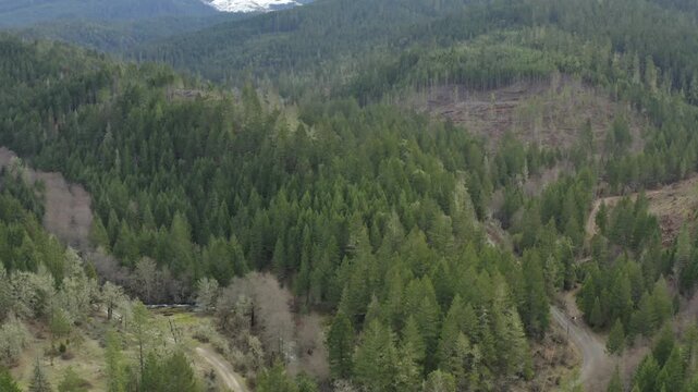 Evergreen Forests with Clearcuts Showing Oregon Wilderness Drone Aerial View