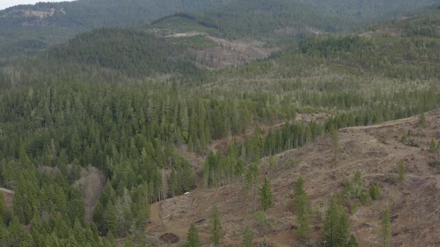 Evergreen Forests with Clearcuts Showing Oregon Wilderness Drone Aerial View