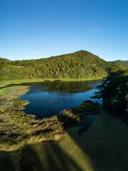 Fototapeta premium Aerial view highlighting the serene lake bordered by vibrant green rainforest and lush wetlands under a clear blue sky, portraying untouched natural beauty in Chiriqui, Central America - stock photo