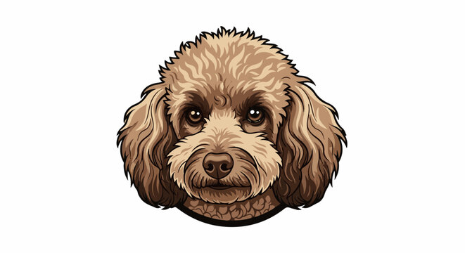 A brown, fluffy poodle with soulful eyes stares forward, set against a white background