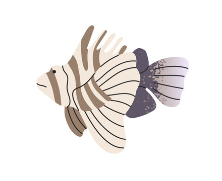 Tropical lionfish is swimming underwater. Venomous coral reef fish with spines with poison. Striped exotic animal of the ocean. Sea wildlife. Undersea fauna. Flat isolated vector illustration on white