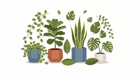 Obraz premium A collection of potted houseplants and scattered leaves in a simple, flat design