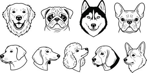 dog head collection black and white line art illustration © zn