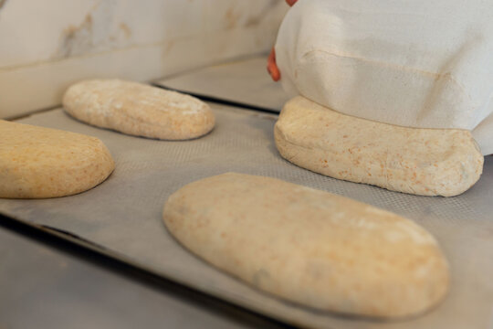 Soft bread dough pieces resting on parchment trays, proofing stage in artisan bakery, raw loaves ready before baking in warm kitchen light