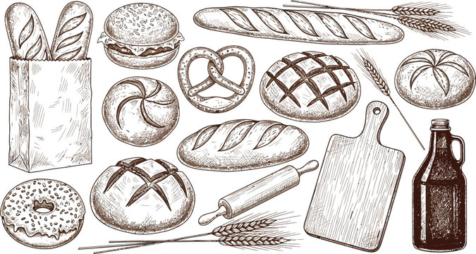 Assorted traditional baked breads and baking tools Vector