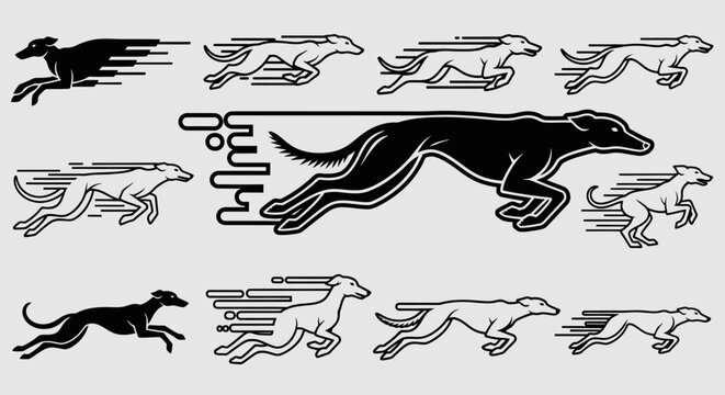 Black dog running various positions.
