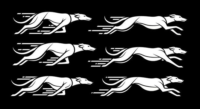 Greyhound Dogs Running Fast Together.