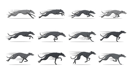 Sequence of cheetah running fast motion. © pipitsgpanjang