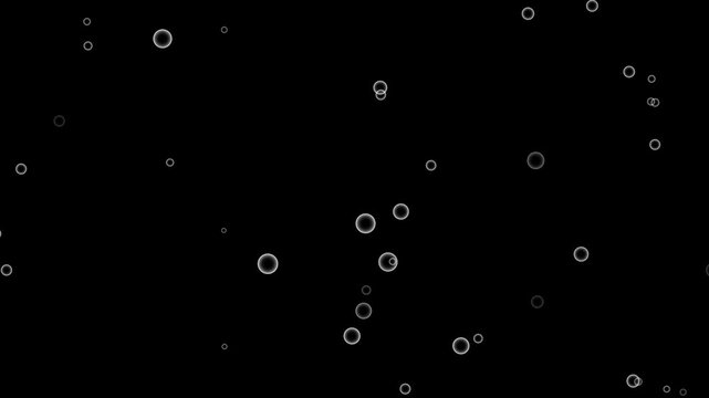 Front View of Bubbles Raising on Black Background in Slow Motion. Beautiful motion bubbles on white backgrounds.Slow-motion shot of shining soap bubbles slowly ascending. Slow rising air bubbles.