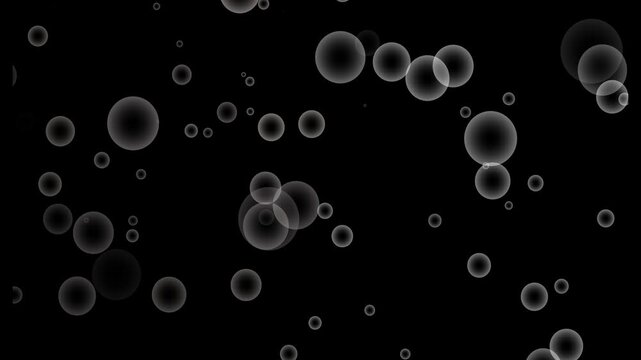 Front View of Bubbles Raising on Black Background in Slow Motion. Beautiful motion bubbles on white backgrounds.Slow-motion shot of shining soap bubbles slowly ascending. Slow rising air bubbles.