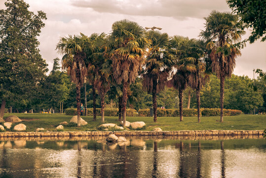 Parque con estanque y plantas