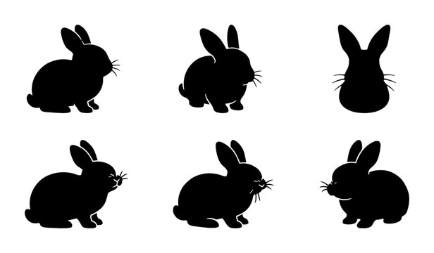 Black Rabbit Silhouettes Collection