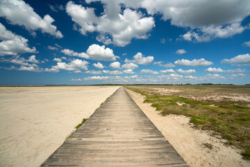 long wooden boardwalk to the beach in summer © Jenny Sturm