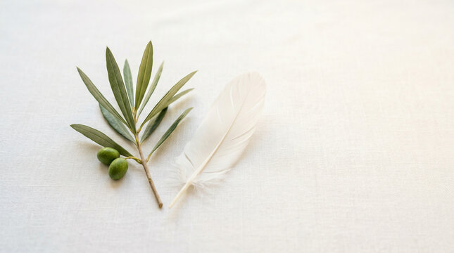 Soft peace day still life with olive branch