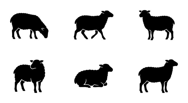 Sheep Silhouettes Collection