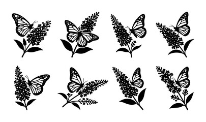 Butterfly Collection on Blooming Flower Stems © Jui