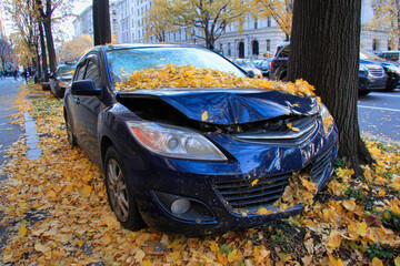 A car is damaged after hitting a tree on a city street. Fallen leaves cover the hood and surroundings. It is autumn and trees are losing their leaves