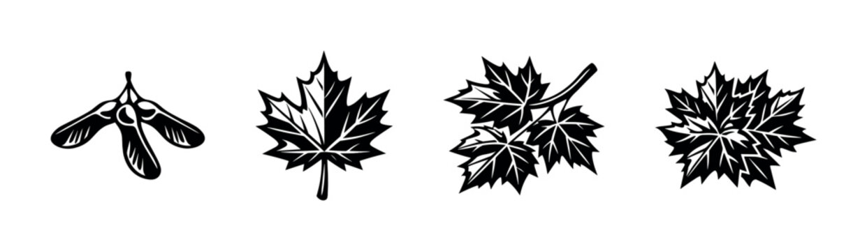 Collection of stylized maple leaves and samaras in black and white