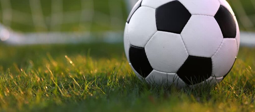 Golden Hour World Cup Soccer Ball on Grass