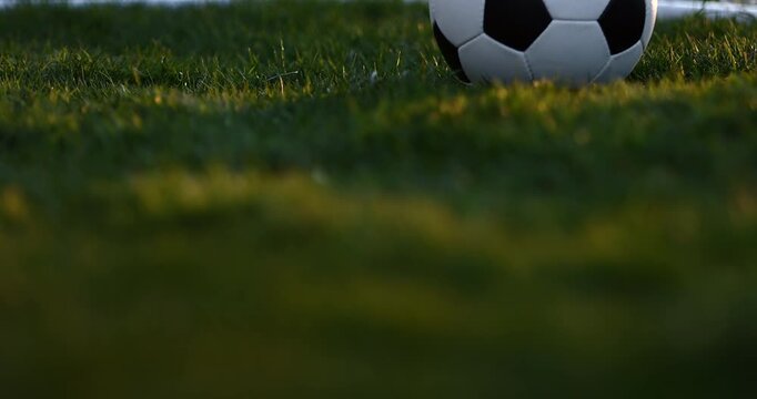 Golden Hour World Cup Soccer Ball on Grass