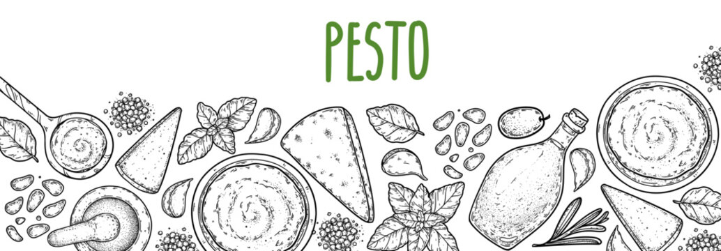 Hand drawn pesto sauce frame vector in engraving sketch style. Detailed border for sauce packaging, condiment labels, food branding, menus, stickers and culinary design. Vector drawing