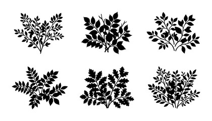 Black Silhouette Bush and Plant Vector Icons, Organic Foliage Elements for Nature Design © Nushrat