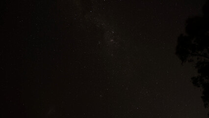 Fototapeta premium Starry Night Sky with Milky Way and Tree Silhouette