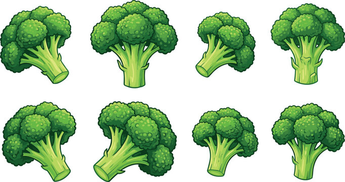 Fresh Green Broccoli Florets and Heads Vector Set from Multiple Angles for Healthy Organic Diet, Gardening, Cooking, and Vegetable Grocery Graphics