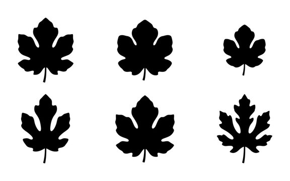 Fig Leaf Silhouettes, Autumn Foliage Icons, Simple Botanical Vector Graphics