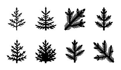 Christmas Tree Vector Icons, Pine Branches, Evergreen Elements, Winter Holiday Graphics © Kazi
