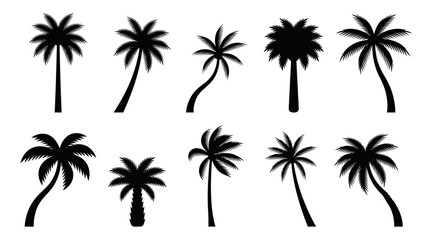 Obraz premium Stylized palm tree silhouette vector illustrations featuring diverse trunk shapes and frond arrangements symbolizing tropical nature and coastal design on white background