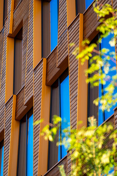 wood facade panels and windows rise behind green plants, where urban architecture creates a warm building exterior detail in sunlight