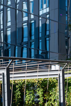 glass facade reflection rises above green plants on an urban building balcony, where architecture and exterior lines frame layered depth