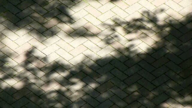 レンガに映る光と陰