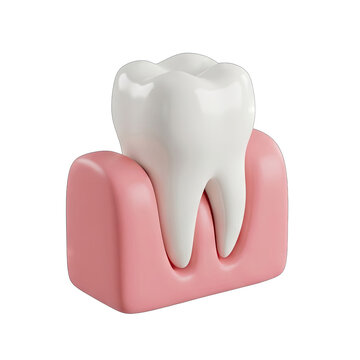 3D Render of a Healthy Tooth Root and Gum