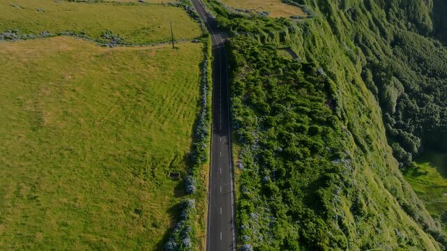 Aerial drone top-down view of a straight asphalt road running along the edge of a steep green cliff, bordered by vibrant blue hydrangea hedges and agricultural pastures on Flores Island, Azores.
