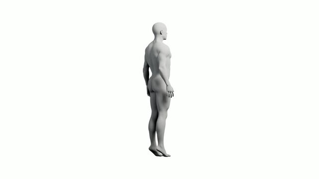 3D mannequin model standing full body
