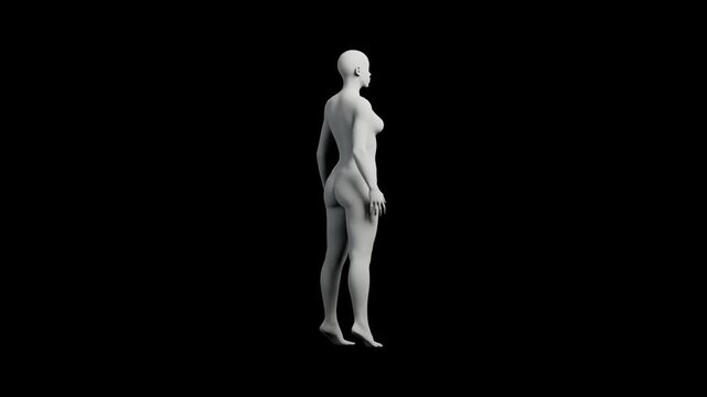 Mannequin figure standing front view