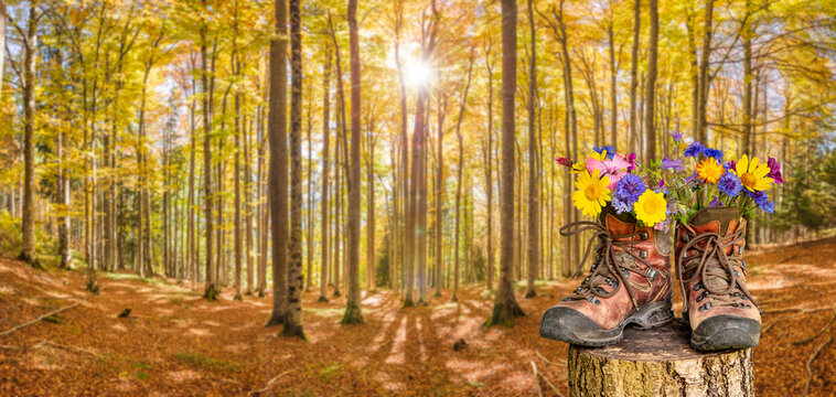 Ein Paar Wanderstiefel gef&uuml;llt mit einem Strau&szlig; Blumen, steht in einem Herbstwald im Allg&auml;u - FOTOMONTAGE