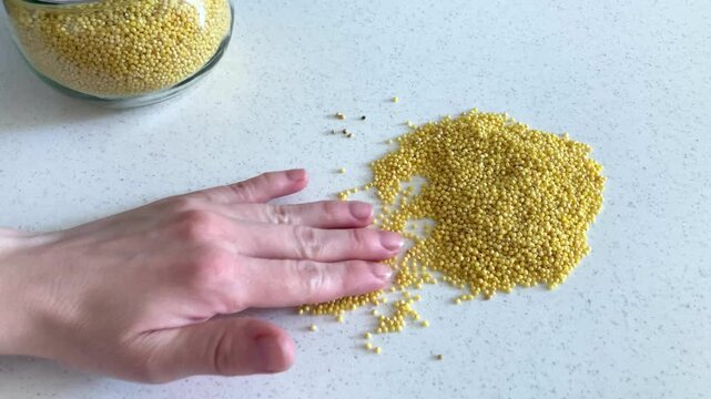 Woman sorting through the millet, separating clean grain from impurities and debris. Simple and inexpensive ingredients, poverty. The theme of thrift, economy and the ability to effectively use budget