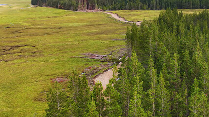 Fototapeta premium Aerial View of a Winding Dirt Path Beside a Pine Forest in Scotland
