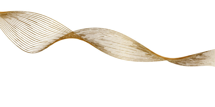 Close up of a fresh fish isolated on a white background