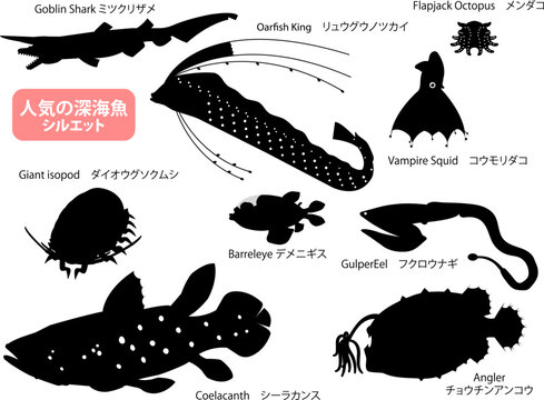 人気の深海魚たち シルエットだけのイラストセット