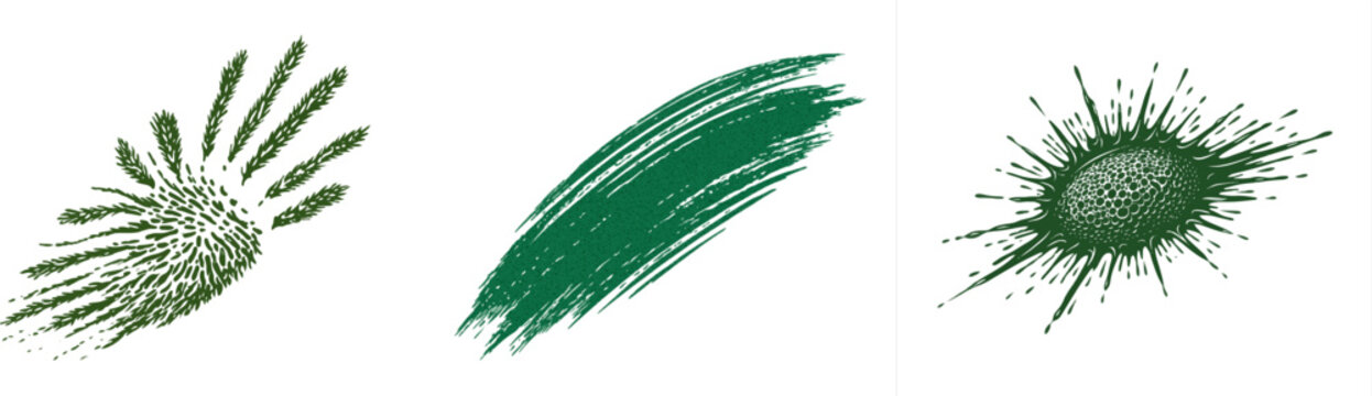 A dark forest green sponge dab, meticulously rendered against a pure white background, showcases intricate porous details and frayed edges for high-quality vector tracing with no distracting elements