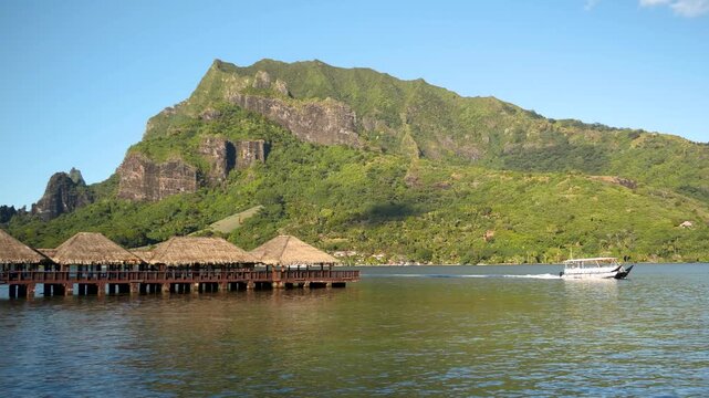 Overwater bungalows on turquoise lagoon with thatched roofs, swaying palm trees, dramatic mountain backdrop under cobalt sky drone shot reveals glassy water and wooden decks, Moorea, French Polynesia
