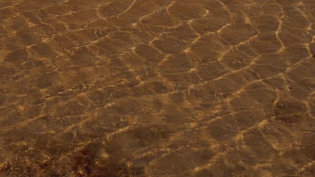 Rippling reflections of sunlight dancing on the sandy floor of a shallow stream, creating organic, tranquil, and meditative light patterns in natural water.