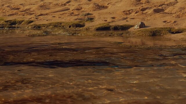 A serene close-up shot capturing crystal clear water gently flowing over a sandy riverbed, highlighting the natural textures and soothing movement of the shoreline.