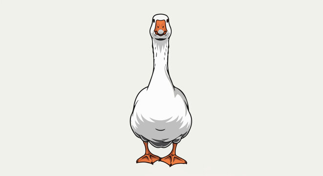 A white goose stands facing forward with its orange beak prominent